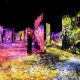 花与人的森林：迷失、沉浸与重生 - 蜂巢结构 / Forest of Flowers and People: Lost, Immersed and Reborn - Honeycomb Structure